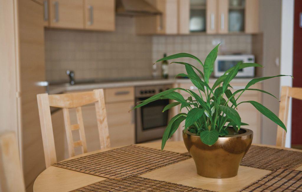Bpm-Apartment Kiraly Budapešť Pokoj fotografie